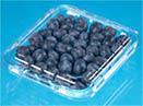 蓝莓包装系列