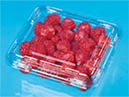 红莓/黑莓包装系列